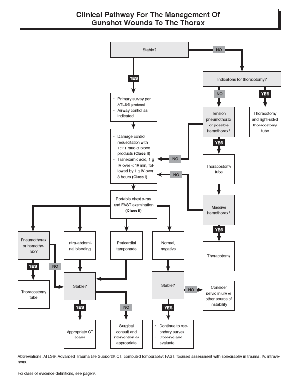 Gunshot Wounds Ballistic Trauma in the Emergency Department